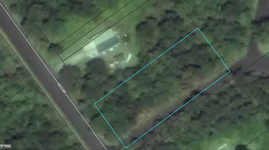 Liona St, Volcano, HI 96785 - #2