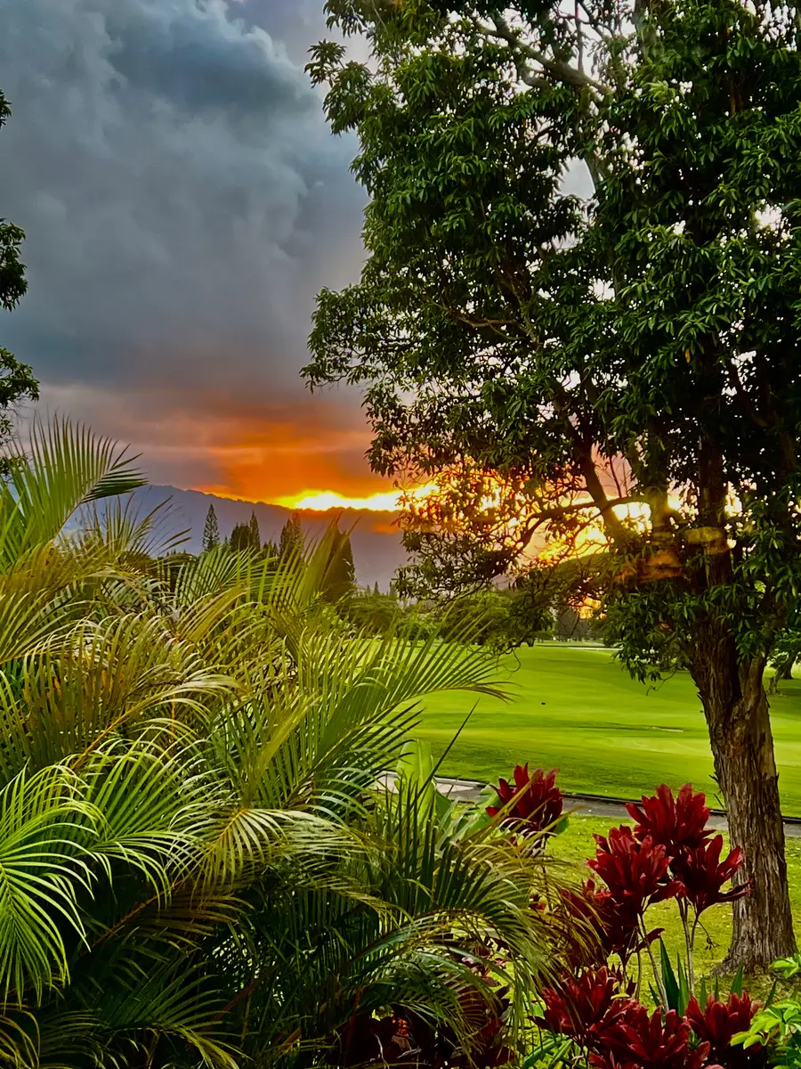 4066 Kaahumanu Pl, Princeville, HI 96722 - #2