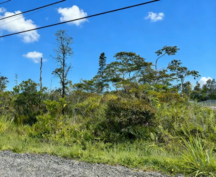 11th Ave, Keaau, HI 96749 - #2