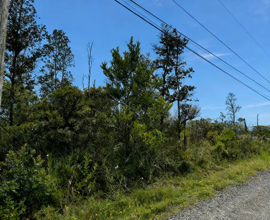 11th Ave, Keaau, HI 96749 - #3