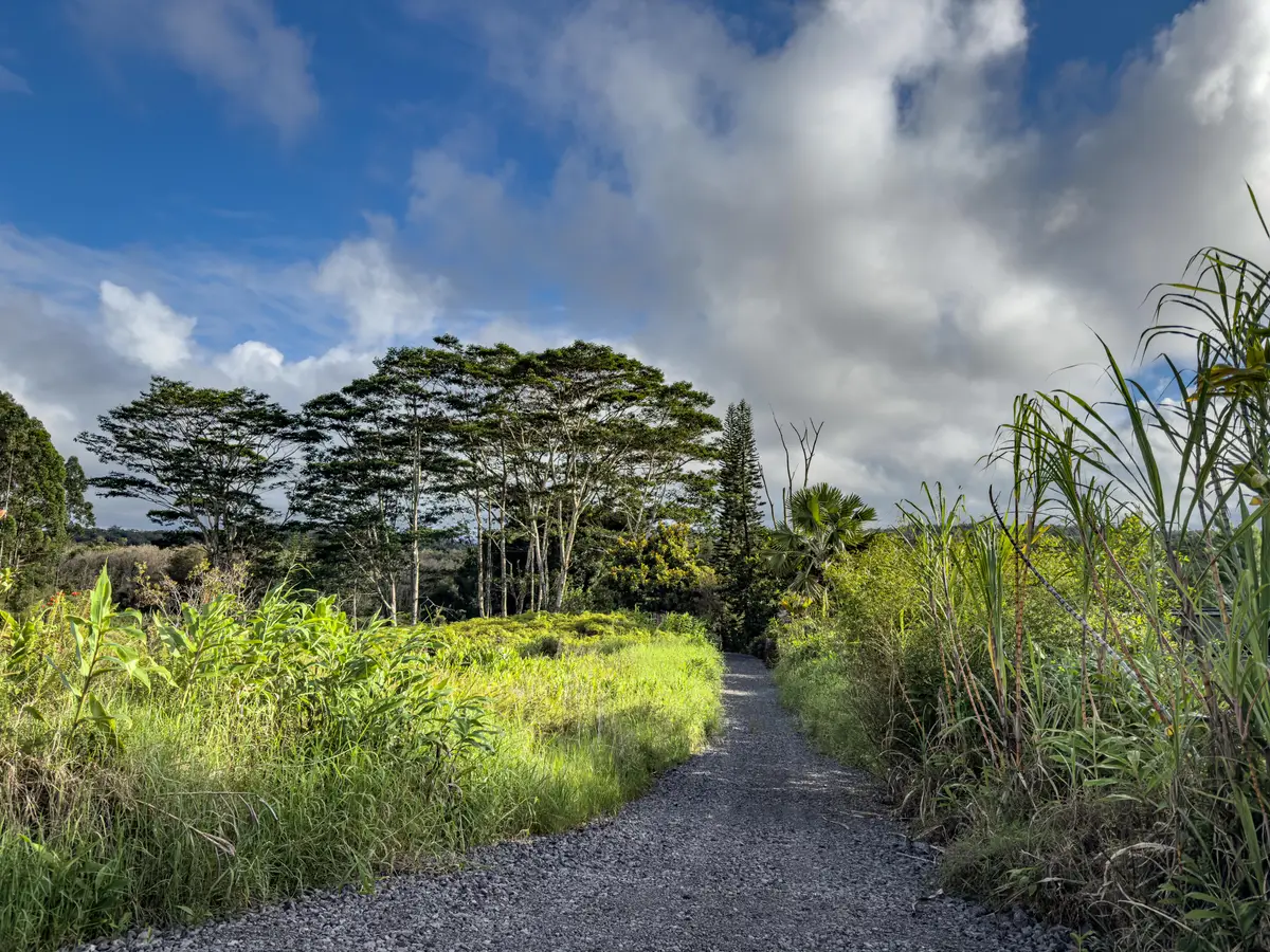 2883 Kaiwiki Rd, Hilo, HI 96720 - #1