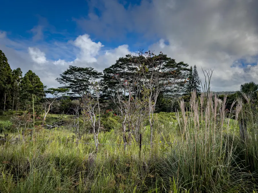 2883 Kaiwiki Rd, Hilo, HI 96720 - #2
