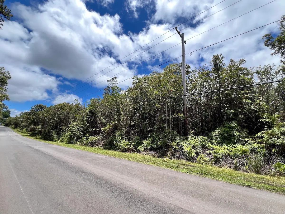 Palainui Ave, Mountain View, HI 96771 - #1