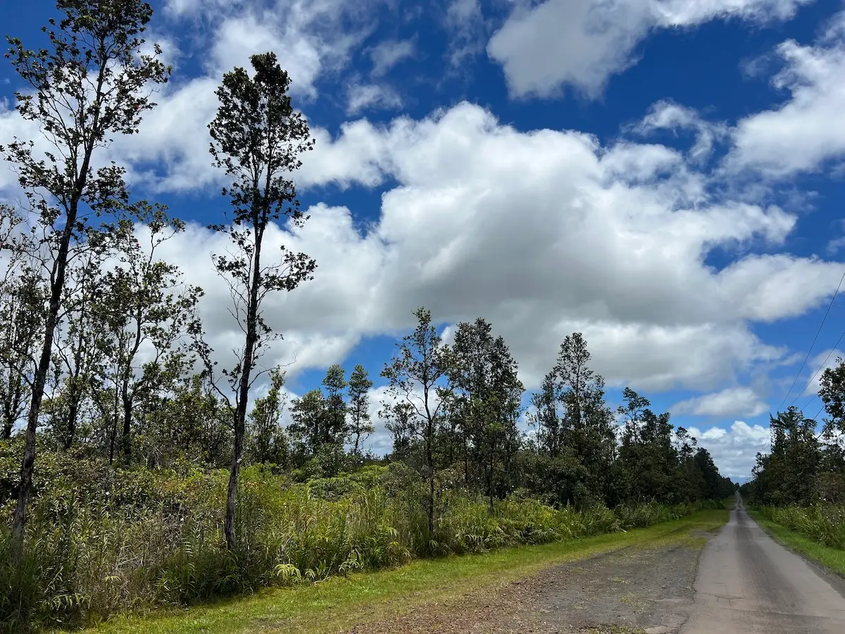 Palainui Ave, Mountain View, HI 96771 - #1