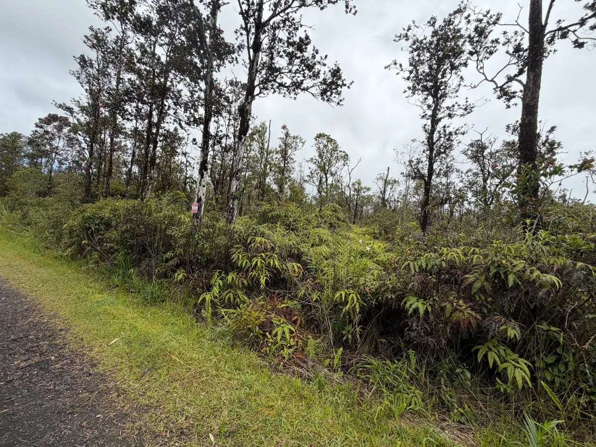 Ala Naulani Rd, Volcano, HI 96785 - #1