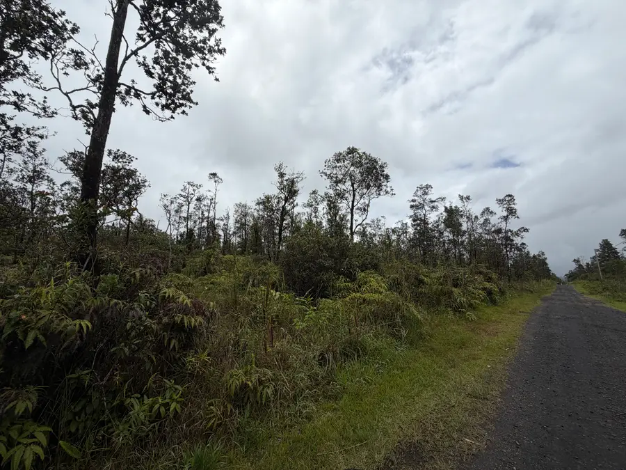 Ala Naulani Rd, Volcano, HI 96785 - #3