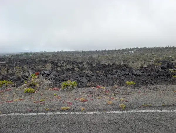 Trade Wind Blvd, Ocean View, HI 96737