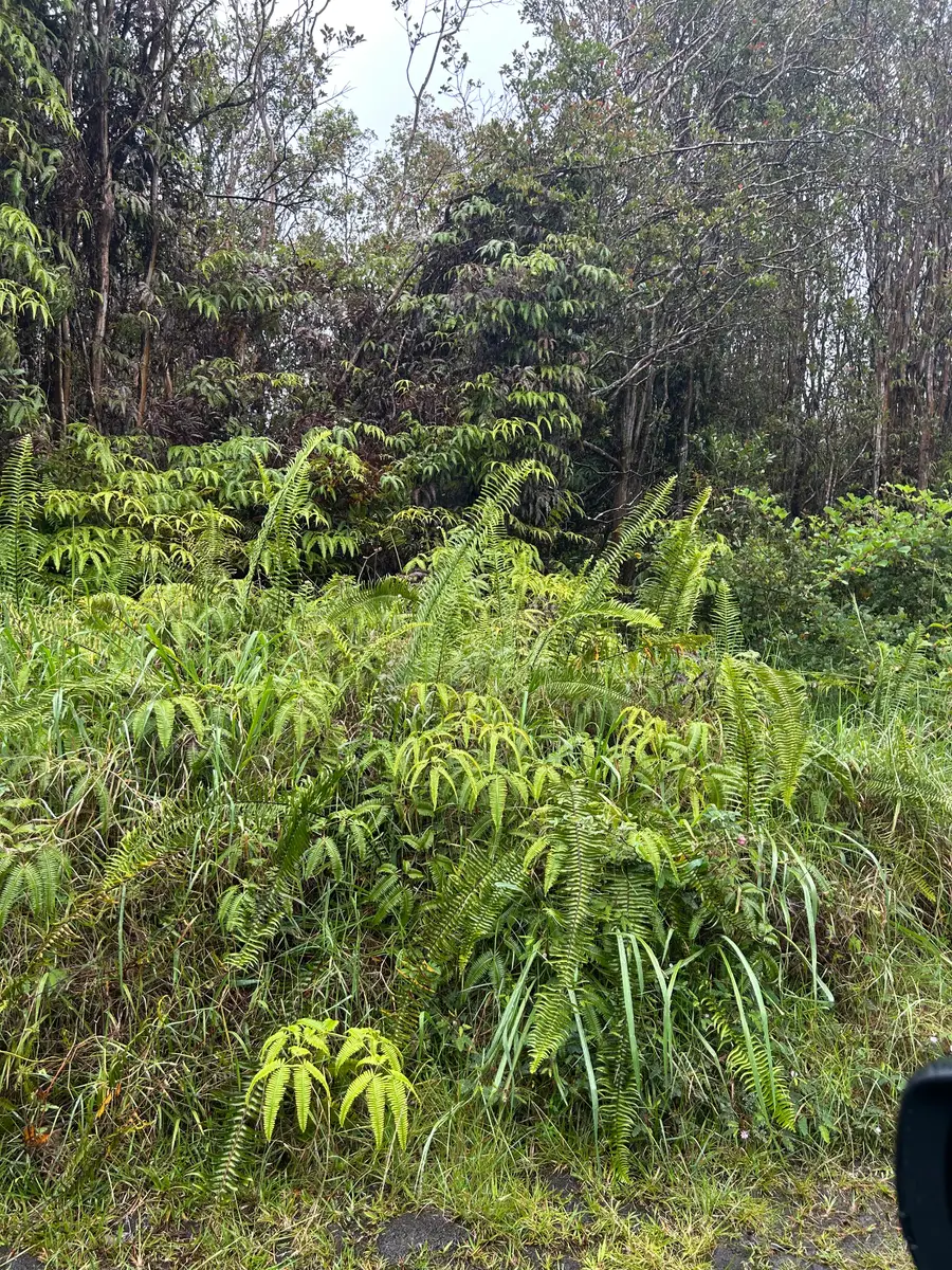 Road 14, Mountain View, HI 96771 - #2