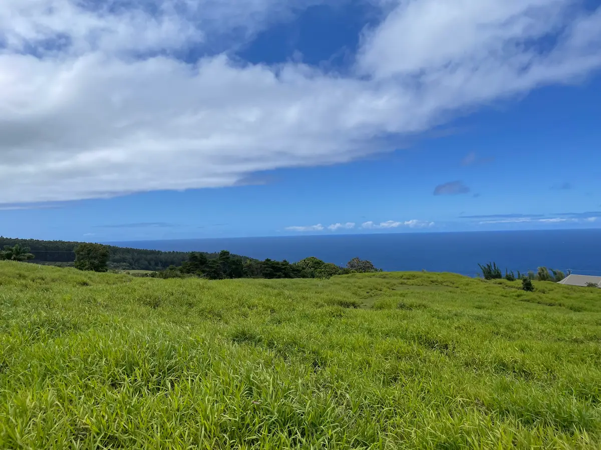 Spencer Rd, Laupahoehoe, HI 96764 - #1