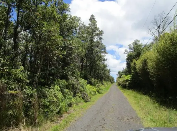 Kopaa St, Mountain View, HI 96771
