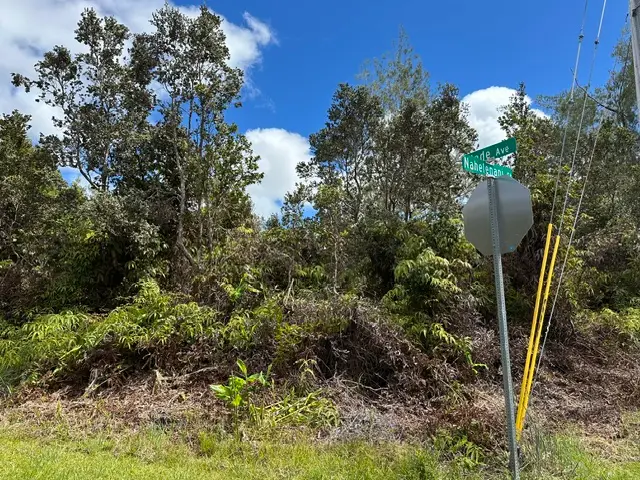 Address Withheld By Seller, Volcano, HI 96785 - #3