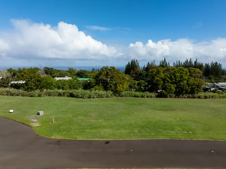 54-3705 Lehuula Circle, Kapaau, HI 96755 - #3