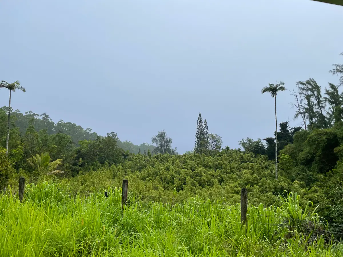 39-3342 Hana Ika Luna Camp Rd, Ookala, HI 96774 - #1