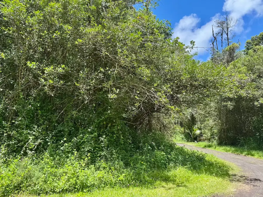 Lanai Rd, Pahoa, HI 96778 - #2