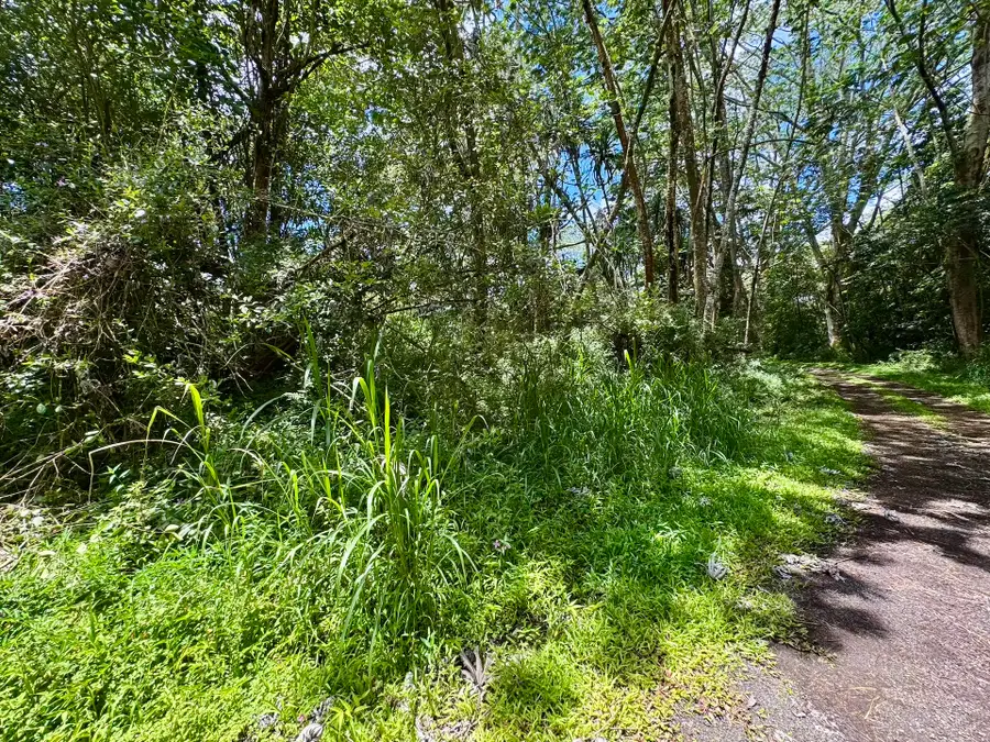 Lanai Rd, Pahoa, HI 96778 - #3