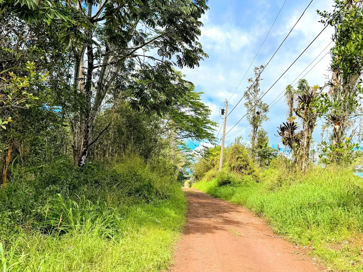 Silversword Ct, Kurtistown, HI 96760 - #1