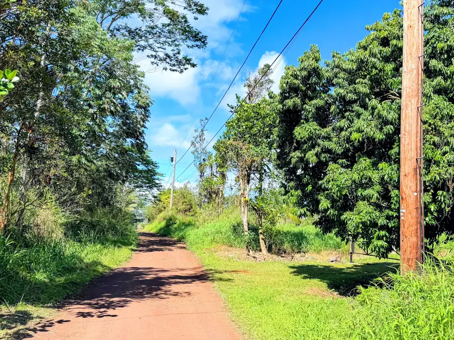Silversword Ct, Kurtistown, HI 96760 - #3