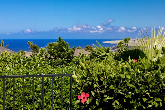 68-3623 Eleele St, Waikoloa, HI 96738 - #2