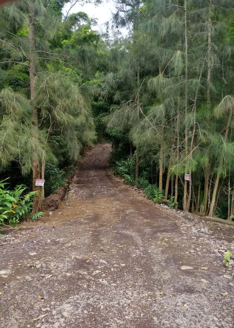 46-3821 Puaono Road #107, Honokaa, HI 96727 - #3