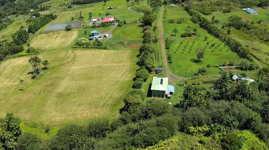 29-2612 Kaiwiki Homestead Rd, Hakalau, HI 96710 - #2