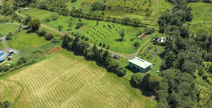 29-2612 Kaiwiki Homestead Rd, Hakalau, HI 96710 - #3