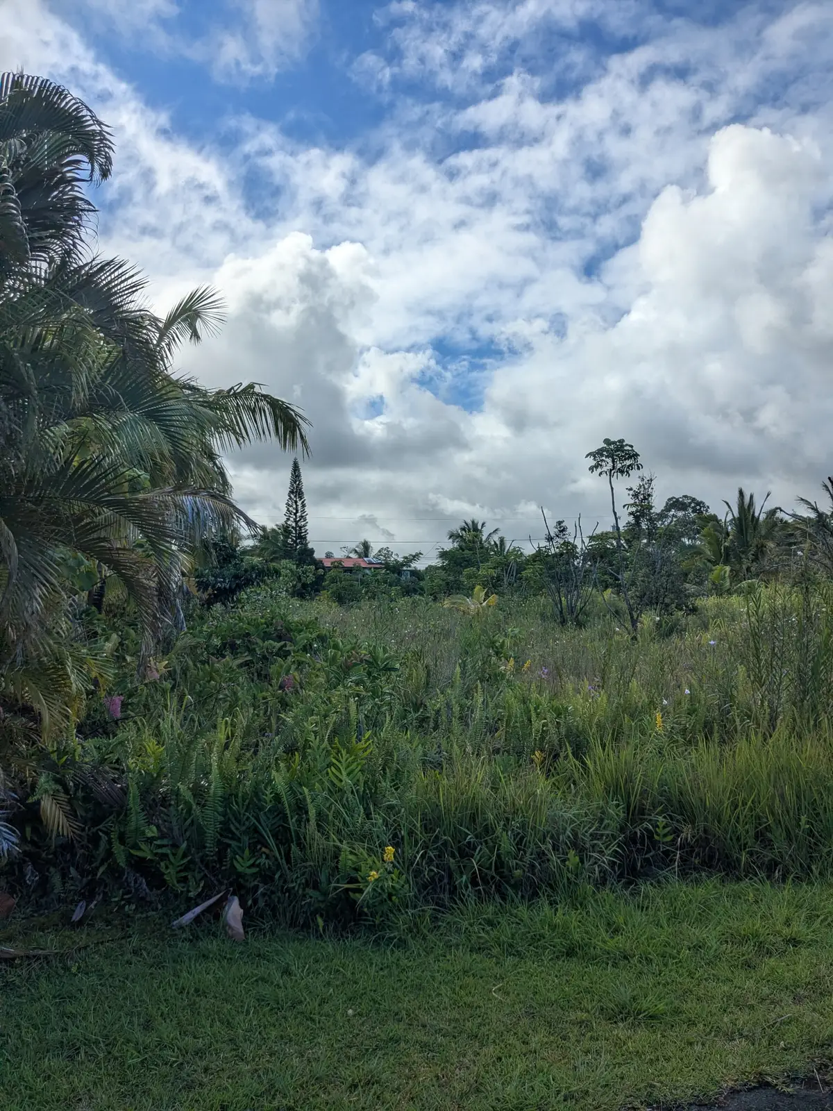 12-7056 Eelekoa St, Pahoa, HI 96778 - #1