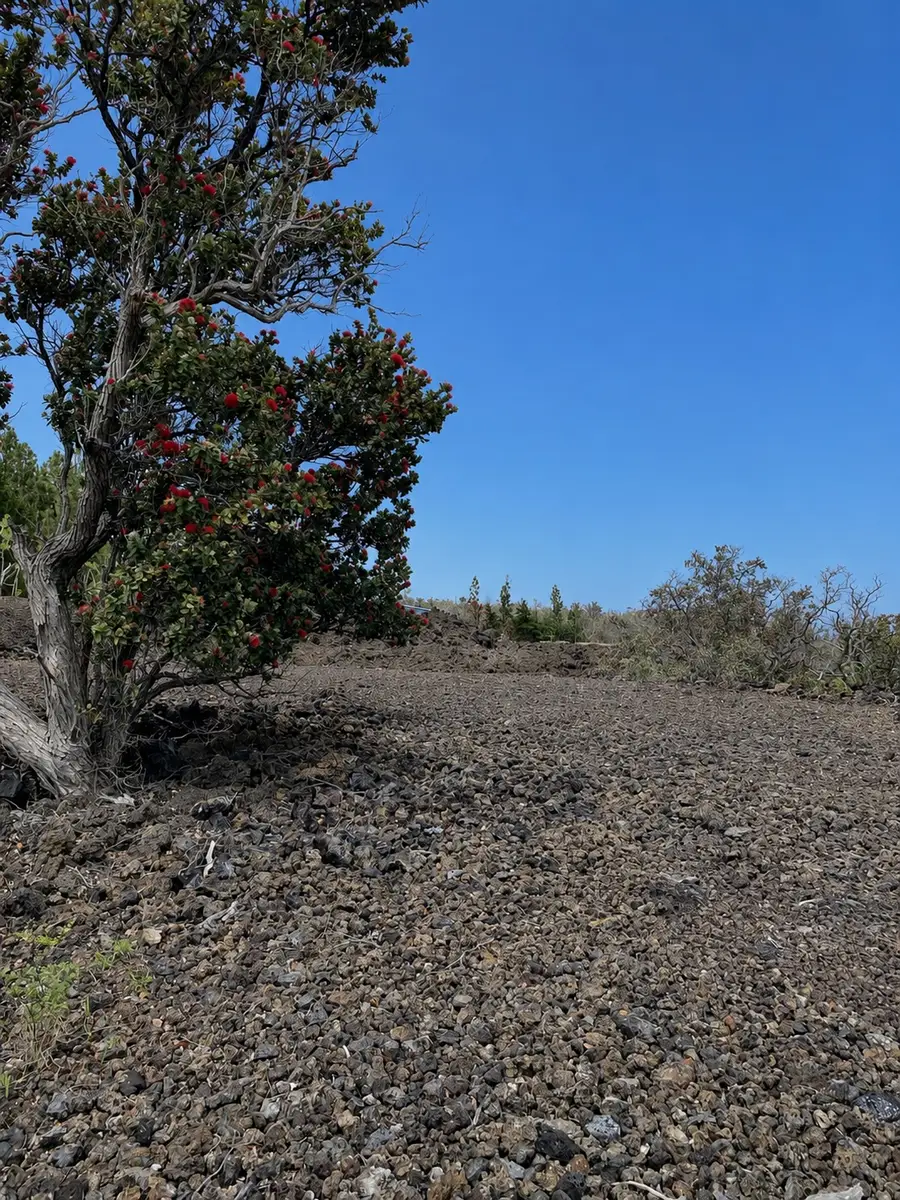 Tiki Ln, Ocean View, HI 96737 - #2