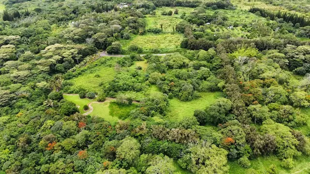 Opihikau Rd, Pahoa, HI 96778 - #2