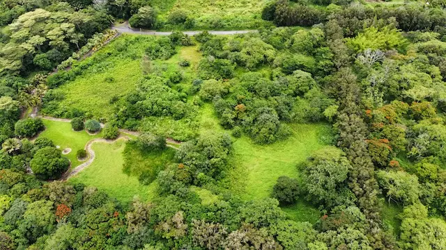 Opihikau Rd, Pahoa, HI 96778 - #3