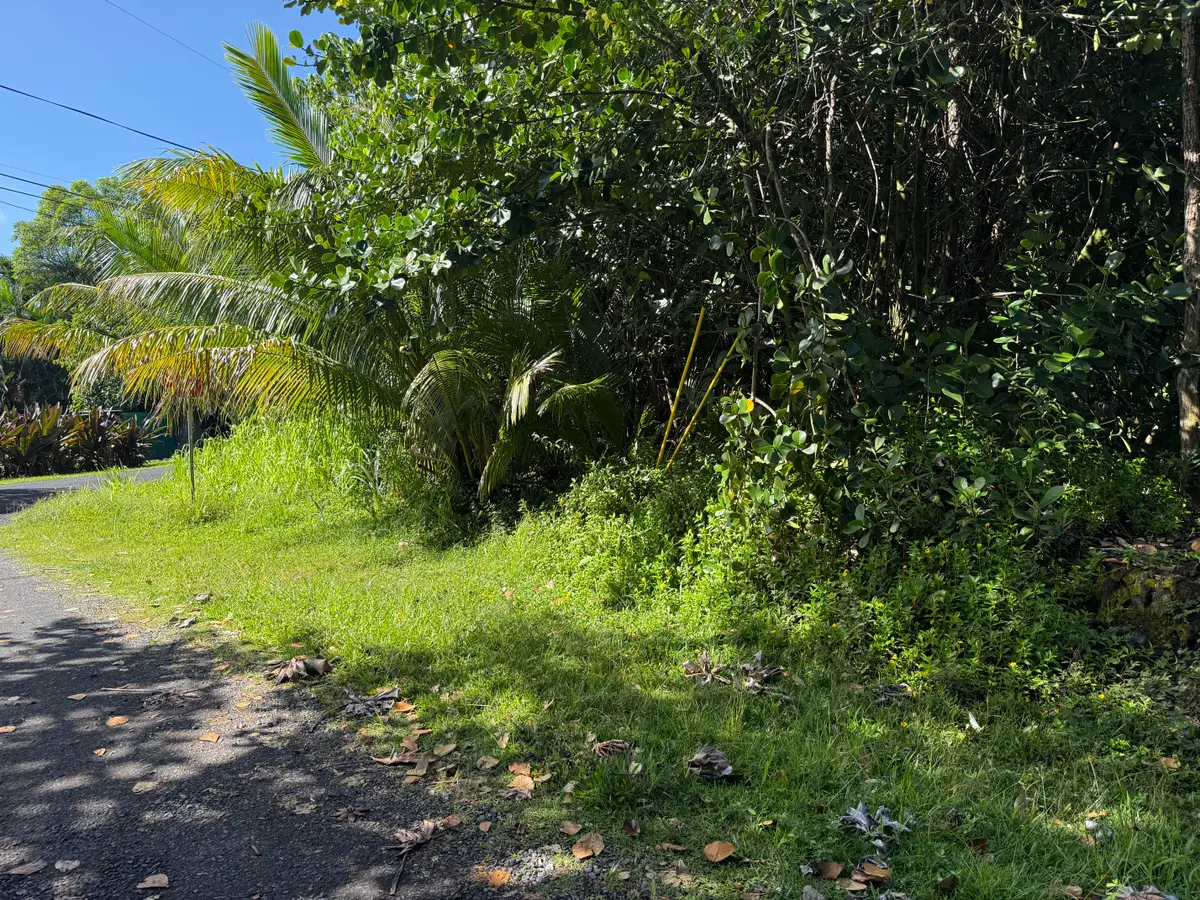 15-1144 Amau Rd, Keaau, HI 96749 - #1