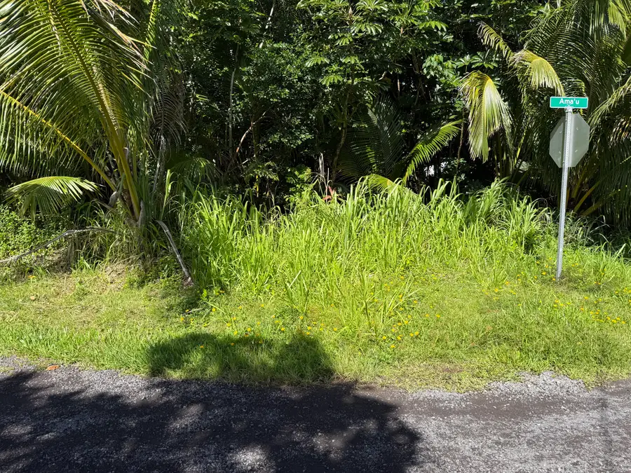 15-1144 Amau Rd, Keaau, HI 96749 - #2
