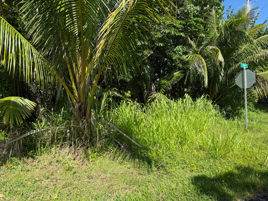 15-1144 Amau Rd, Keaau, HI 96749 - #3