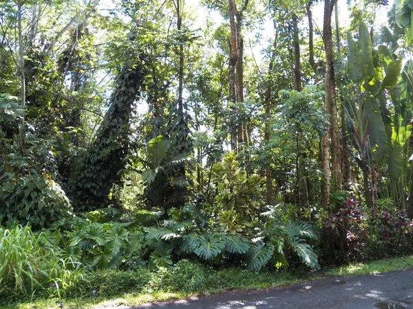 25th Ave, Keaau, HI 96749