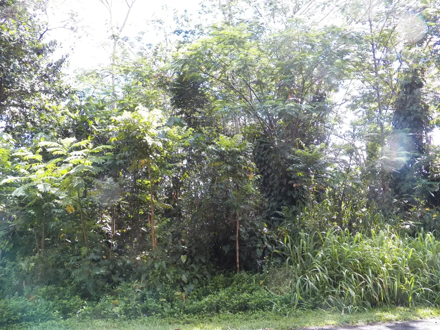 25th Ave, Keaau, HI 96749 - #3