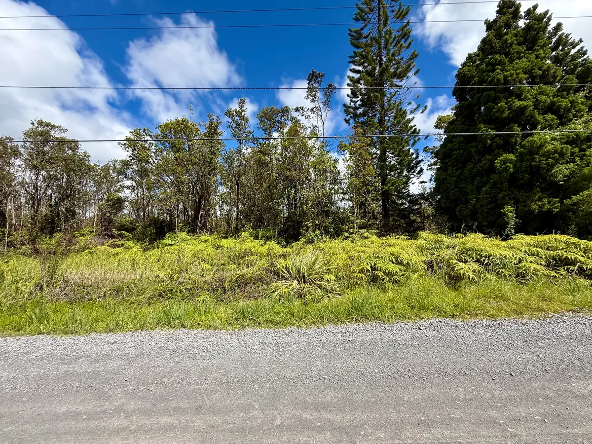 11-2099 Kaleponi Dr, Volcano, HI 96785 - #1