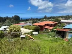 45-3231 Ohia St, Honokaa, HI 96727 - #2