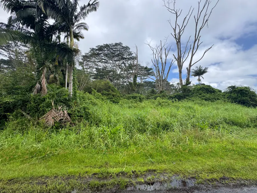17-4113 Kukui Camp Rd, Mountain View, HI 96771 - #2