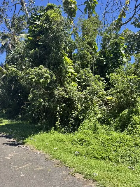Opelu St, Pahoa, HI 96778 - #1