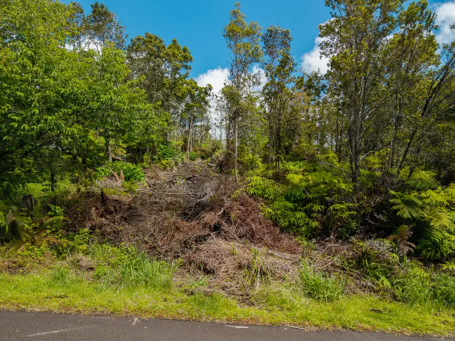 11-3184-A Alaula St, Volcano, HI 96785 - #3