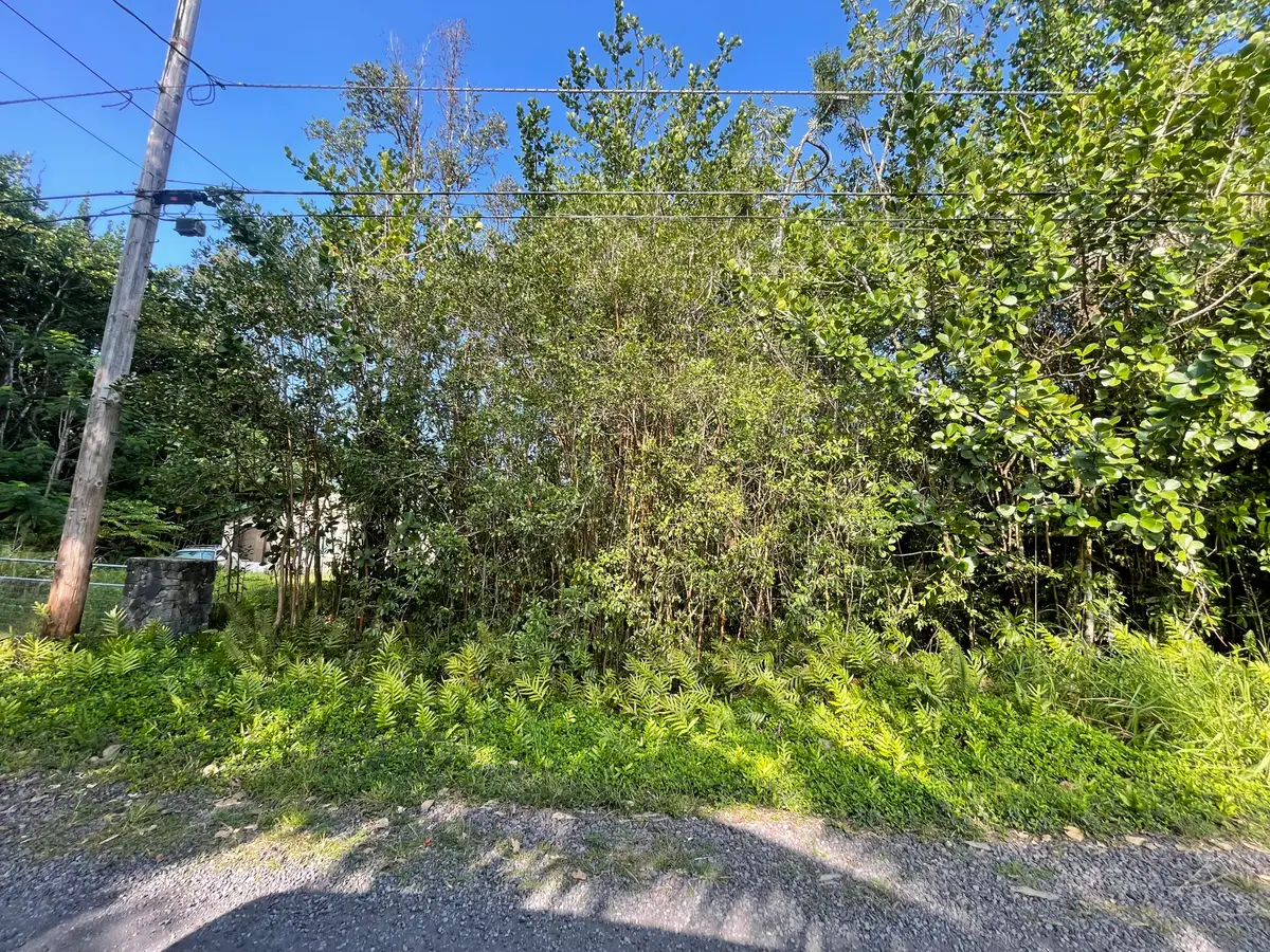 15-1423 12th Ave, Keaau, HI 96749 - #1