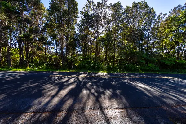 Wright Rd, Volcano, HI 96785
