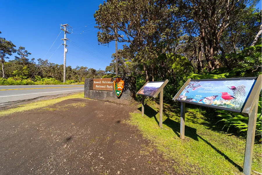 Wright Rd, Volcano, HI 96785 - #3