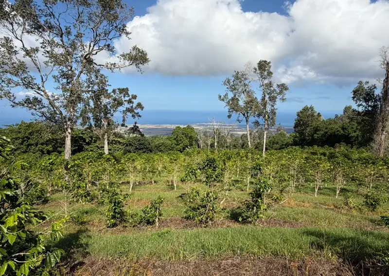 73-4245 Hawaii Belt Rd, Kailua Kona, HI 96740 - #1