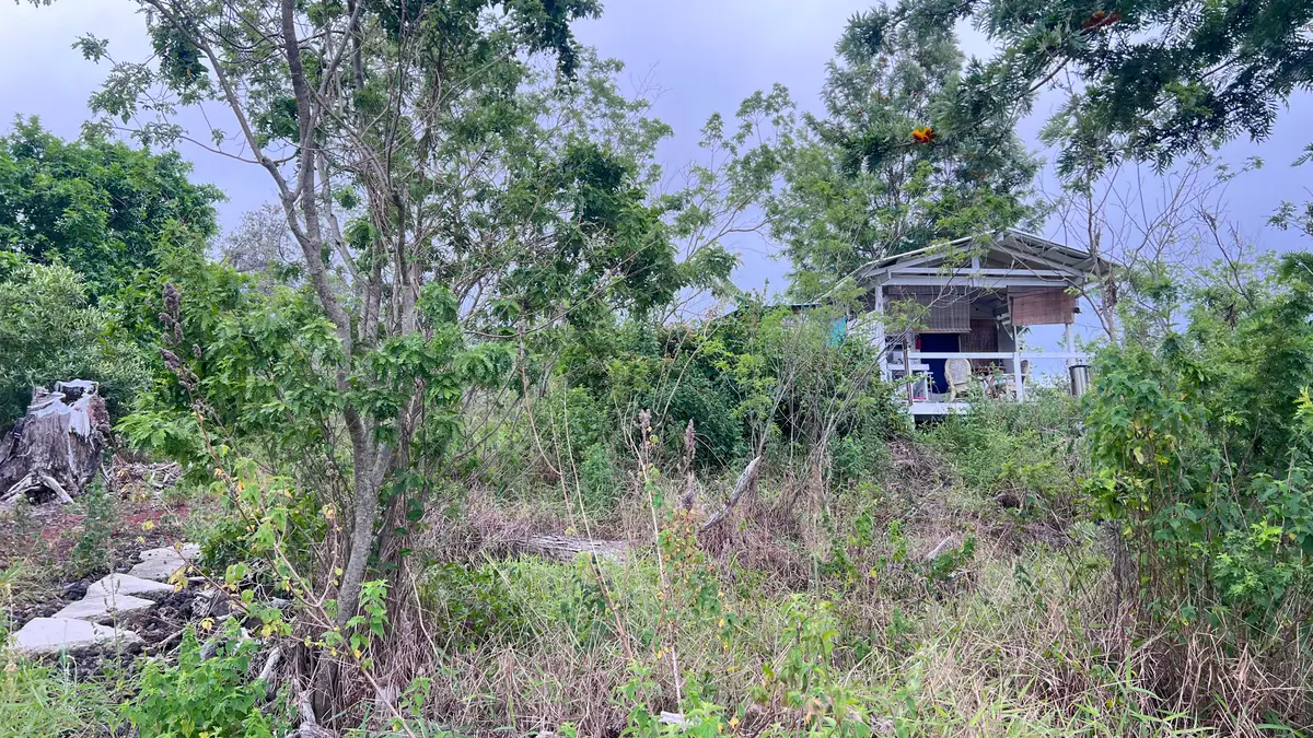 92-1731 Princess Kaiulani Blvd, Ocean View, HI 96737 - #1