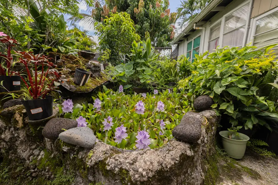 74 Maikai St, Hilo, HI 96720 - #3
