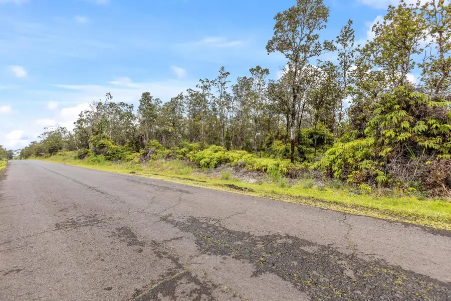 Pa Alii St, Volcano, HI 96785 - #3