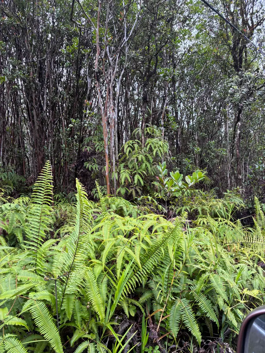 Road 5 (uau), Kurtistown, HI 96760 - #2