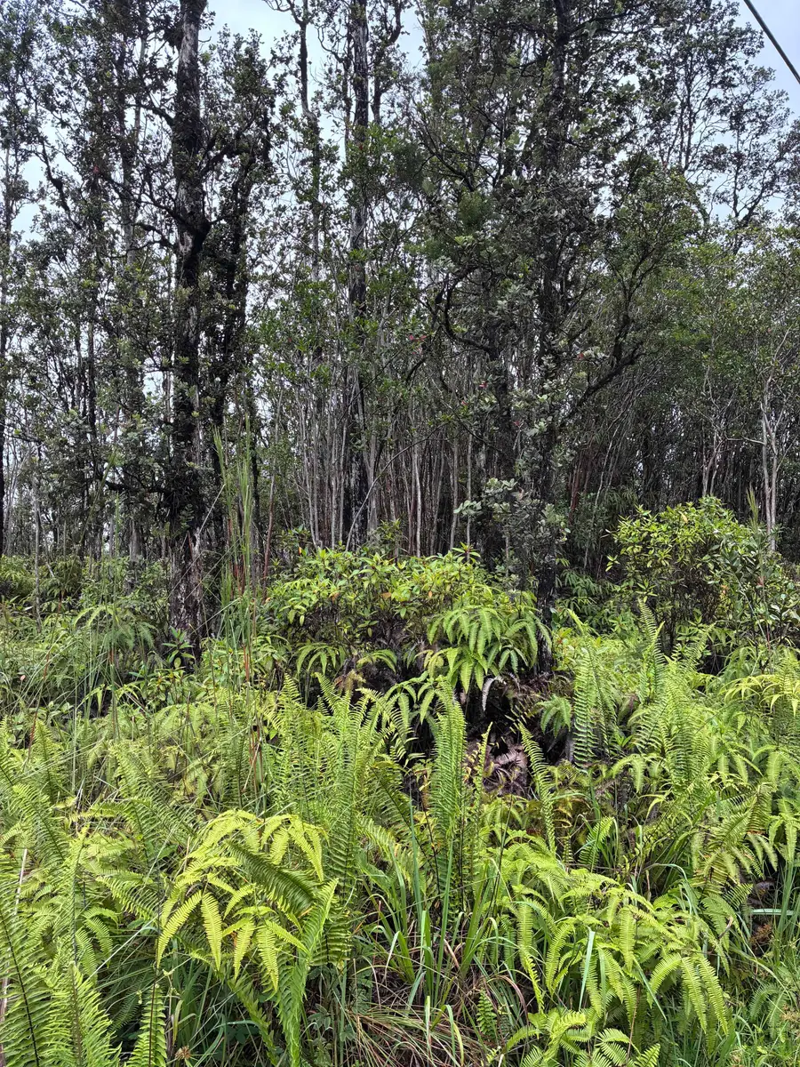 Road 5 (uau), Kurtistown, HI 96760 - #3