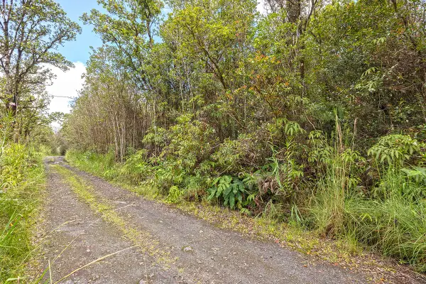 Road 13, Mountain View, HI 96771