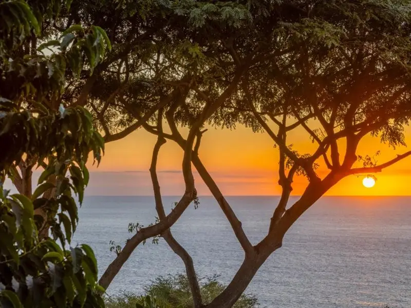 81-6499 Mamaka Pl, Kealakekua, HI 96750 - #3